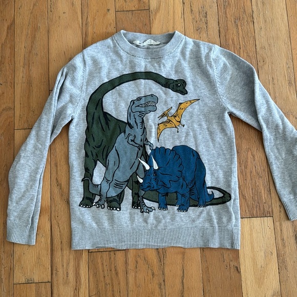 H&M | Dinosaur Graphic Sweater | size 6/8 - Picture 1 of 4